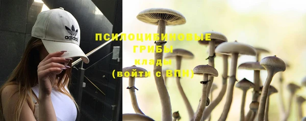 соль ск Белокуриха