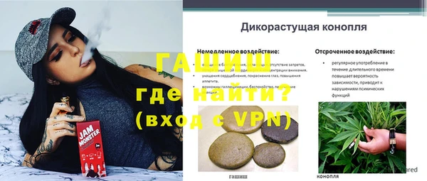 соль ск Белокуриха