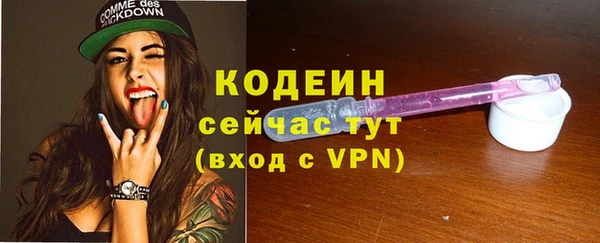 первитин Няндома